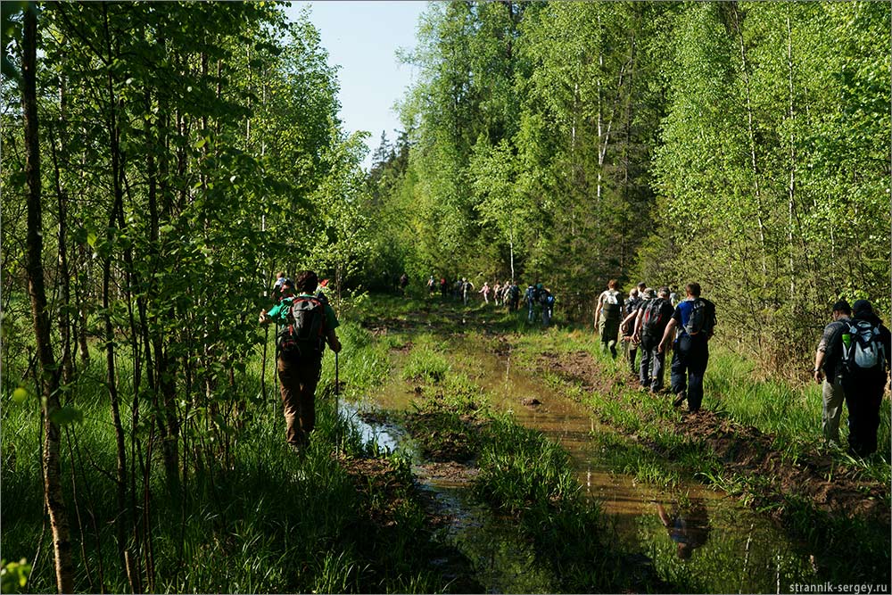 Пеший поход выходного дня: пл. Радищево - Холмы - Новинки - пл. Поварово   22 мая 2011 г.