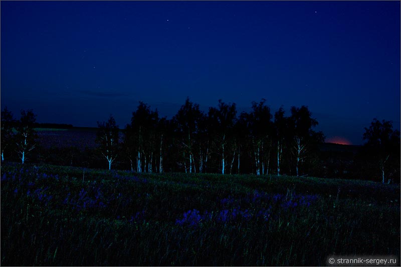 Картинки ночная природа - 76 фото