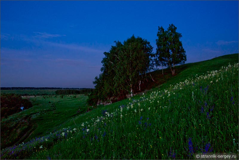 Стоковые фотографии по запросу Ночной пейзаж природа